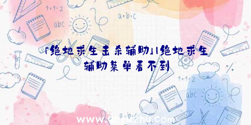 「绝地求生击杀辅助」|绝地求生辅助菜单看不到